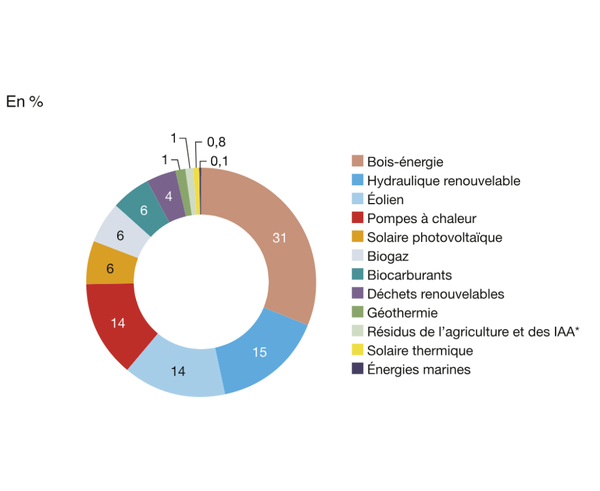 Capital-Energies-Renouvelables-repartition-filiere-france