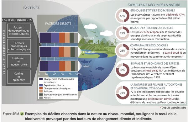 Facteurs du déclin de la biodiversité - IPBES Global assessment 2019