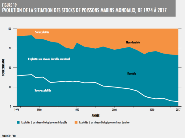 Evolutions des stocks de poissons marins mondiaux - FAO