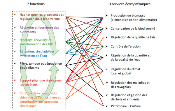 fonctions-services-ecosystemiques-sols