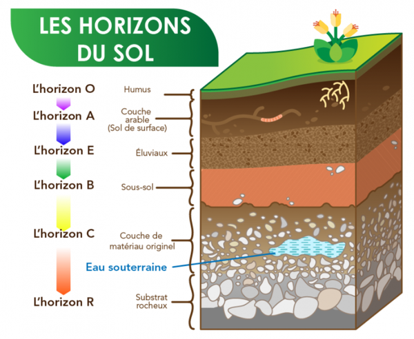 horizons-sols_parlons-sciences-ca