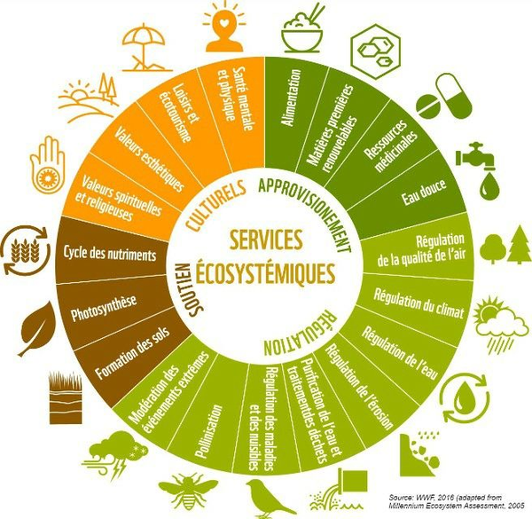 Les Services Ecosystemiques