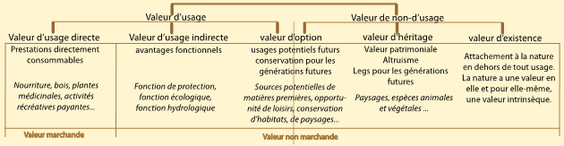 The different types of values
