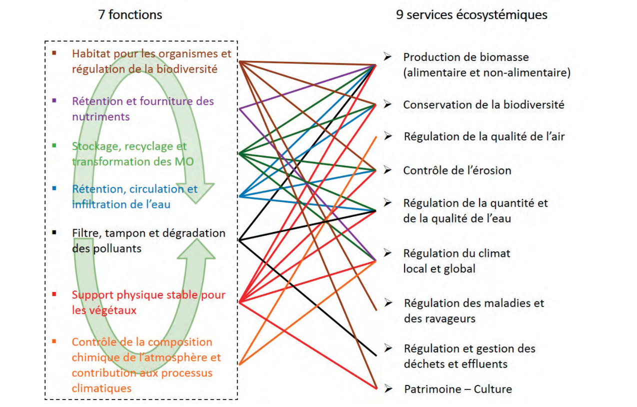 functions-services-ecosystems-soils