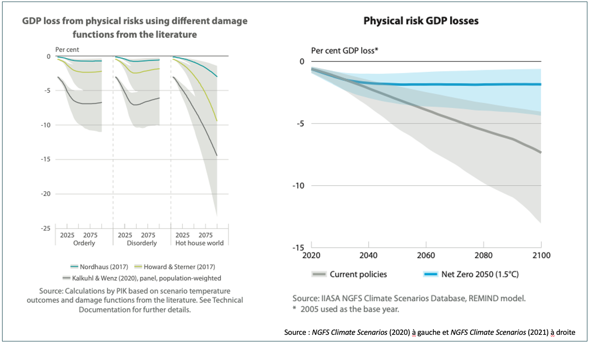 Estimating physical risks in NGFS scenarios